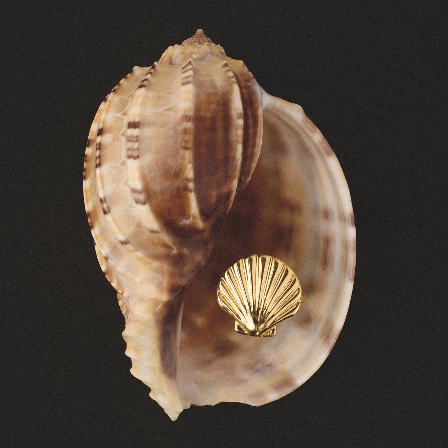KOLOMATSKA x OCEANXSILK "Shell Dialog" Бандл