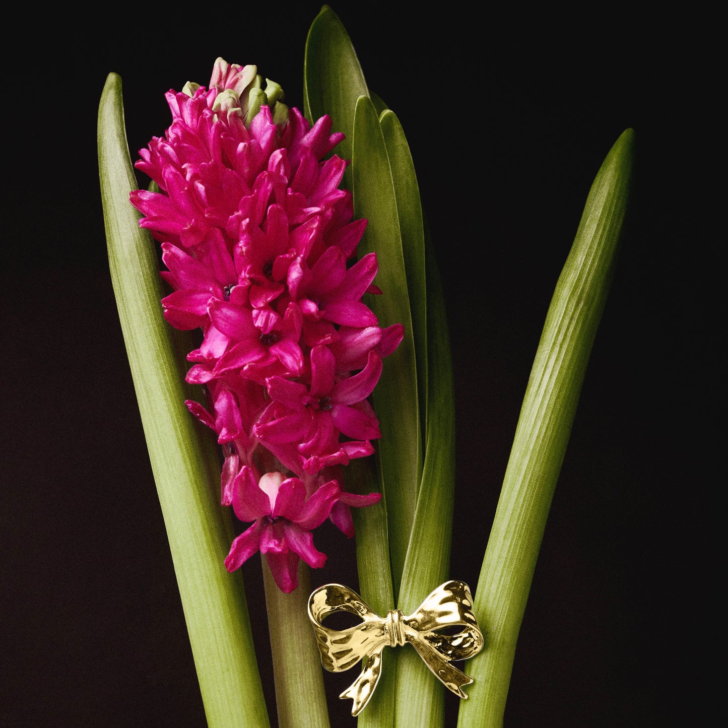 Ring BOW gold
